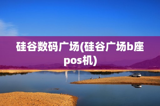 硅谷数码广场(硅谷广场b座pos机)