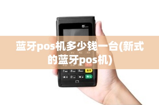 蓝牙pos机多少钱一台(新式的蓝牙pos机)