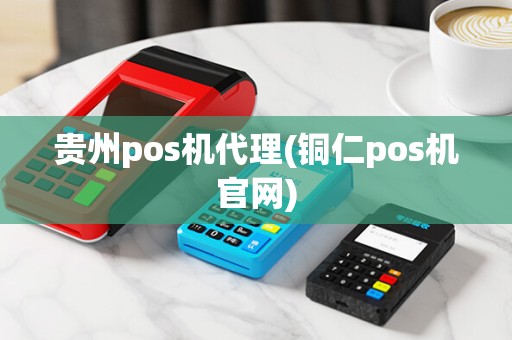 贵州pos机代理(铜仁pos机官网)