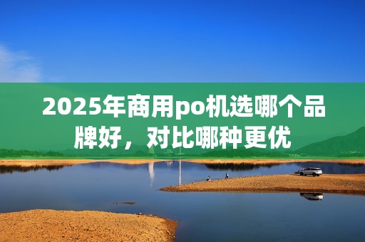 2025年商用po机选哪个品牌好，对比哪种更优