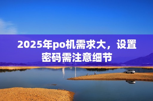 2025年po机需求大，设置密码需注意细节