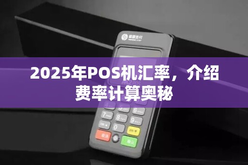 2025年POS机汇率，介绍费率计算奥秘