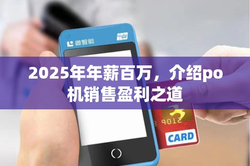 2025年年薪百万，介绍po机销售盈利之道