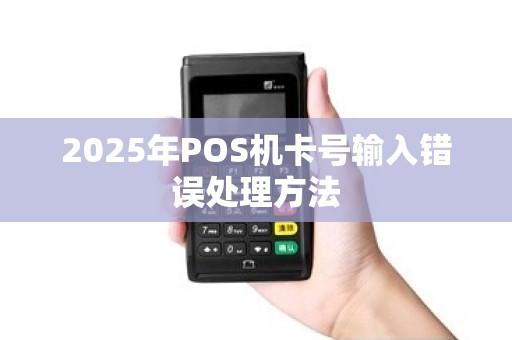 2025年POS机卡号输入错误处理方法