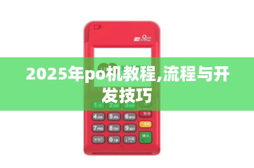 2025年po机教程,流程与开发技巧