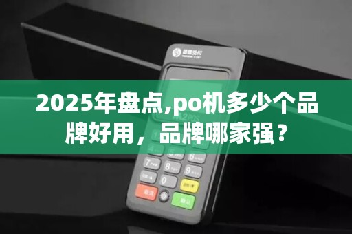 2025年盘点,po机多少个品牌好用，品牌哪家强？