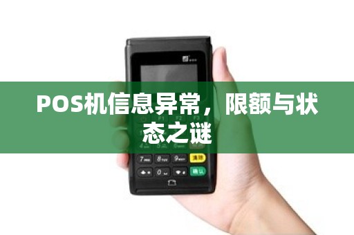 POS机信息异常，限额与状态之谜