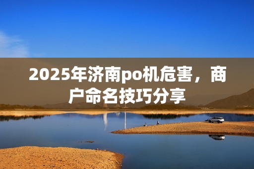 2025年济南po机危害，商户命名技巧分享