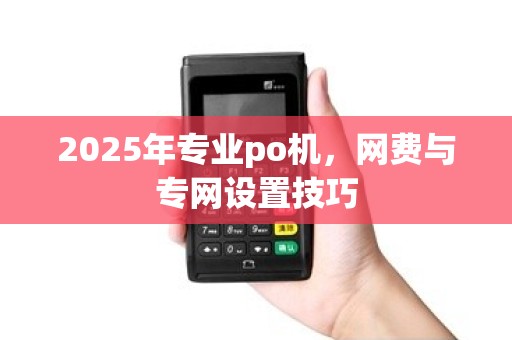 2025年专业po机，网费与专网设置技巧