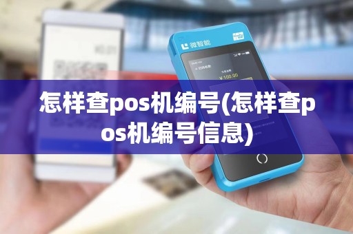 怎样查pos机编号(怎样查pos机编号信息)