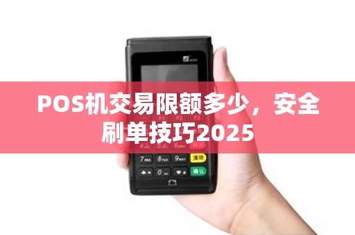 POS机交易限额多少，安全刷单技巧2025