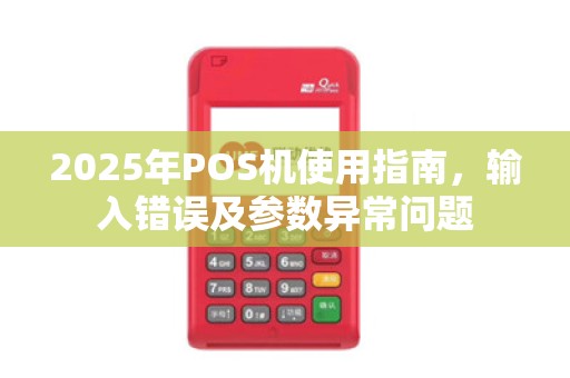 2025年POS机使用指南，输入错误及参数异常问题