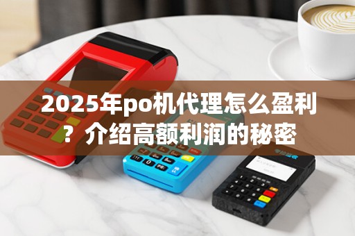 2025年po机代理怎么盈利？介绍高额利润的秘密