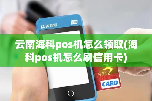 云南海科pos机怎么领取(海科pos机怎么刷信用卡)