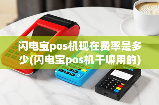 闪电宝pos机现在费率是多少(闪电宝pos机干嘛用的)