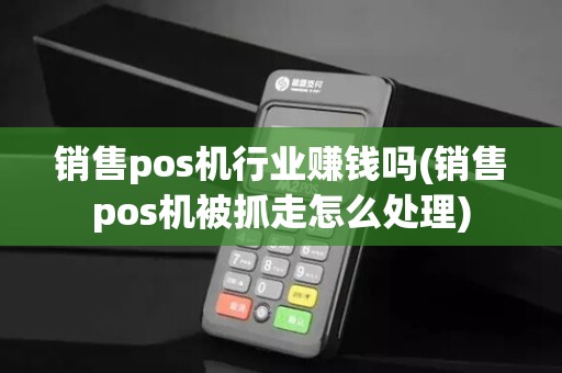 销售pos机行业赚钱吗(销售pos机被抓走怎么处理)