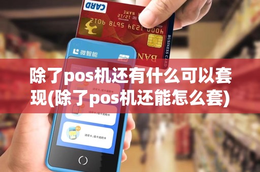 除了pos机还有什么可以套现(除了pos机还能怎么套)