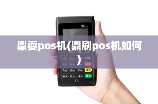 鼎耍pos机(鼎刷pos机如何)