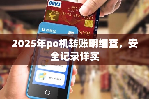2025年po机转账明细查，安全记录详实