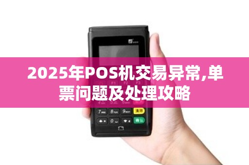 2025年POS机交易异常,单票问题及处理攻略