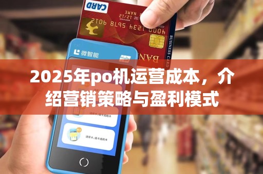 2025年po机运营成本，介绍营销策略与盈利模式