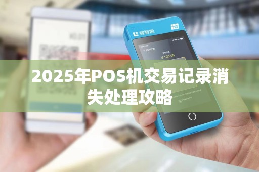 2025年POS机交易记录消失处理攻略