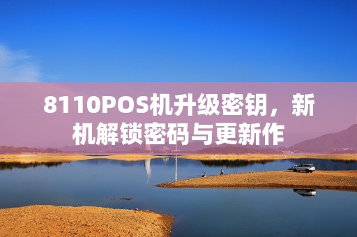 8110POS机升级密钥，新机解锁密码与更新作