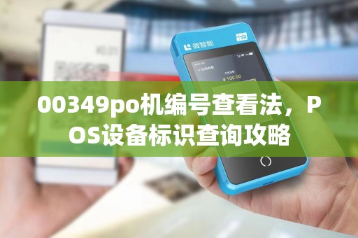 00349po机编号查看法，POS设备标识查询攻略