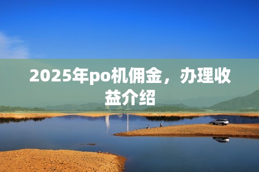 2025年po机佣金，办理收益介绍
