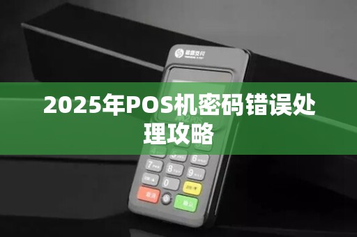 2025年POS机密码错误处理攻略