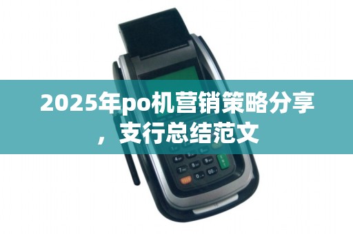 2025年po机营销策略分享，支行总结范文