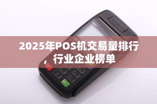 2025年POS机交易量排行，行业企业榜单