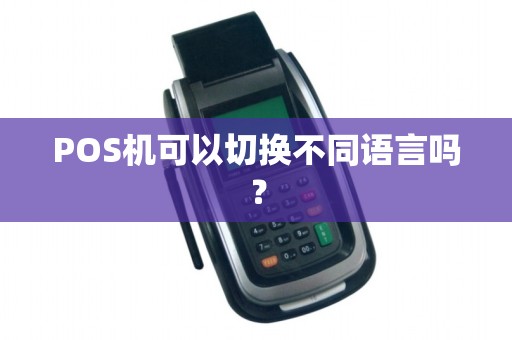 POS机可以切换不同语言吗？