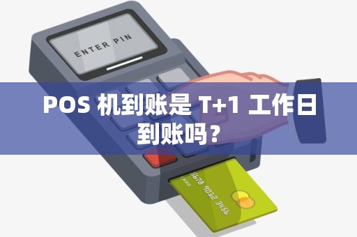 POS 机到账是 T+1 工作日到账吗？