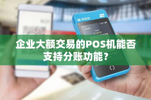 企业大额交易的POS机能否支持分账功能？