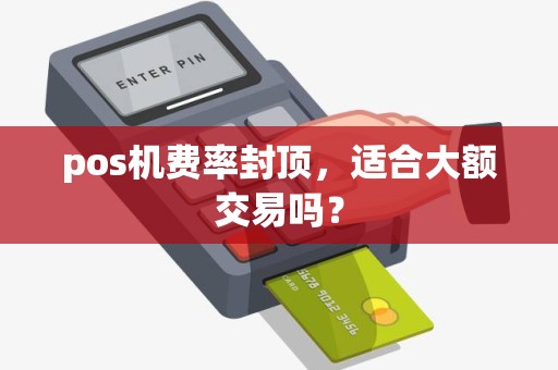 pos机费率封顶，适合大额交易吗？