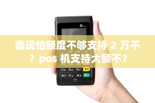 套现怕额度不够支持 2 万不？pos 机支持大额不？