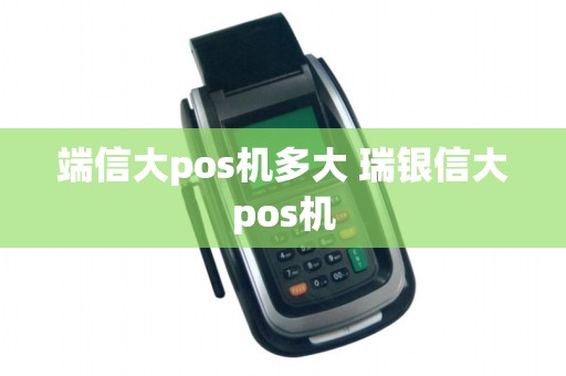 端信大pos机多大 瑞银信大pos机