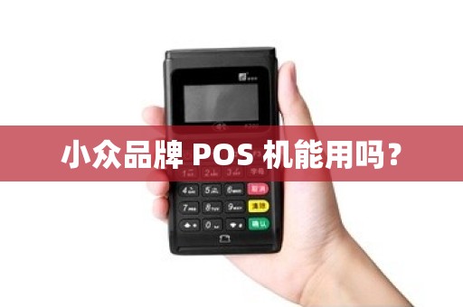 小众品牌 POS 机能用吗？