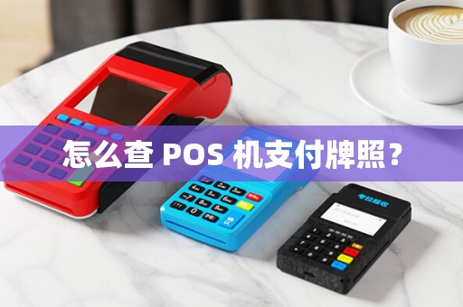 怎么查 POS 机支付牌照？