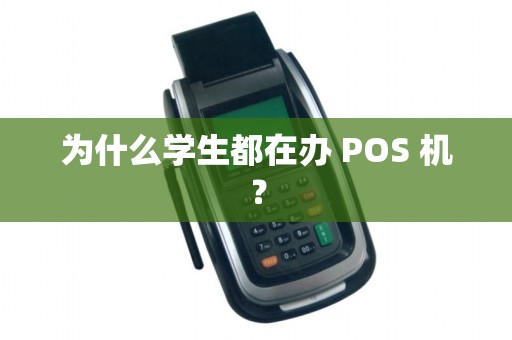 为什么学生都在办 POS 机？
