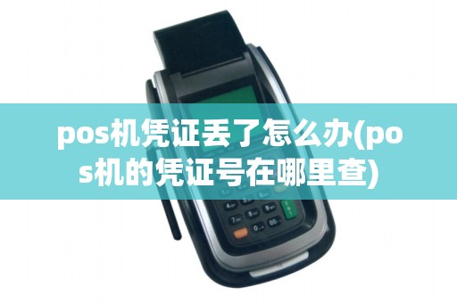pos机凭证丢了怎么办(pos机的凭证号在哪里查)