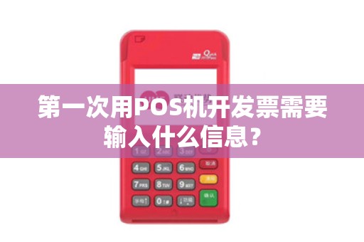 第一次用POS机开发票需要输入什么信息？