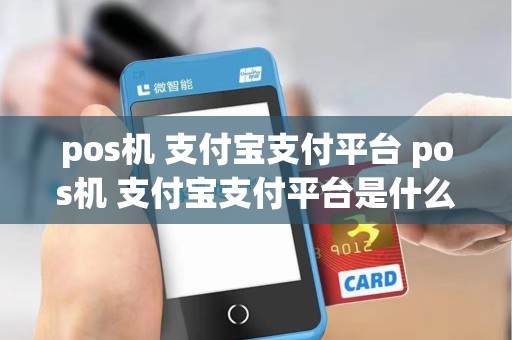 pos机 支付宝支付平台 pos机 支付宝支付平台是什么