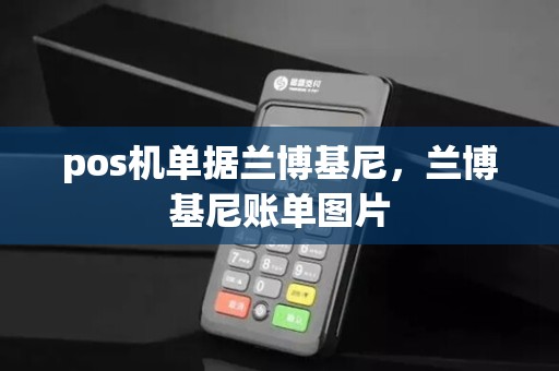 pos机单据兰博基尼，兰博基尼账单图片