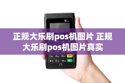 正规大乐刷pos机图片 正规大乐刷pos机图片真实