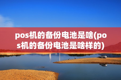 pos机的备份电池是啥(pos机的备份电池是啥样的)