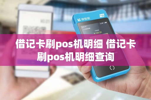 借记卡刷pos机明细 借记卡刷pos机明细查询