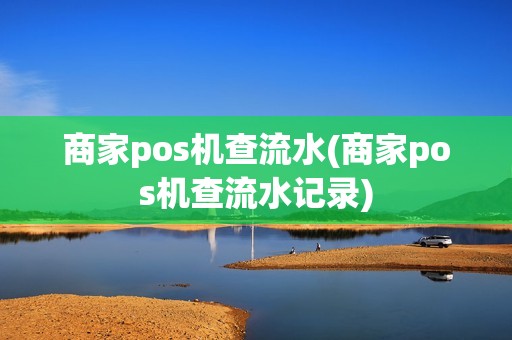 商家pos机查流水(商家pos机查流水记录)
