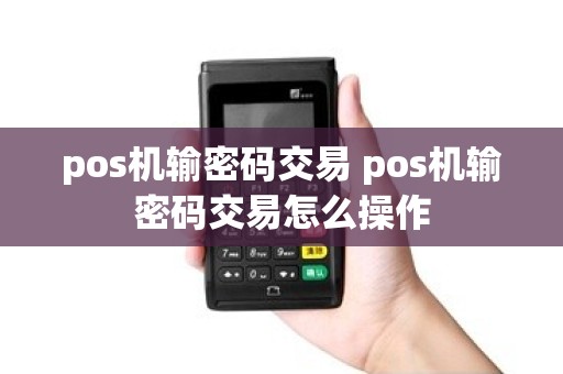 pos机输密码交易 pos机输密码交易怎么操作